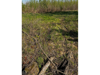 1,962 Acres on the Black River | A Once-in-a-Generation Arkansas - photo 13