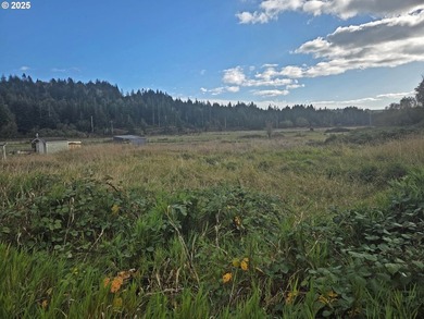 Large vacant lot located in the Englewood area of Coos Bay. This - photo 4