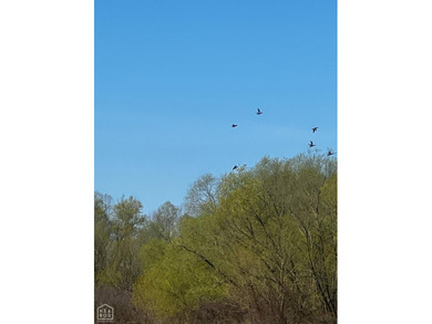 1,962 Acres on the Black River | A Once-in-a-Generation Arkansas - photo 18