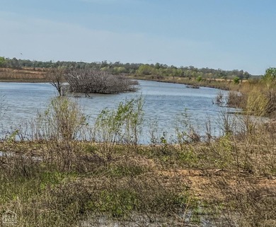 1,962 Acres on the Black River | A Once-in-a-Generation Arkansas - photo 19