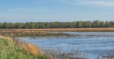 1,962 Acres on the Black River | A Once-in-a-Generation Arkansas - photo 20