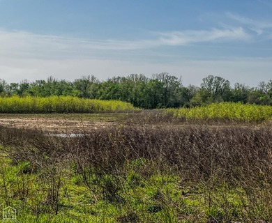 1,962 Acres on the Black River | A Once-in-a-Generation Arkansas - photo 21