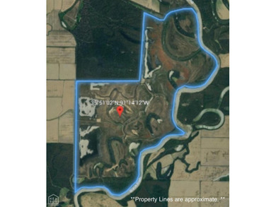1,962 Acres on the Black River | A Once-in-a-Generation Arkansas - photo 22