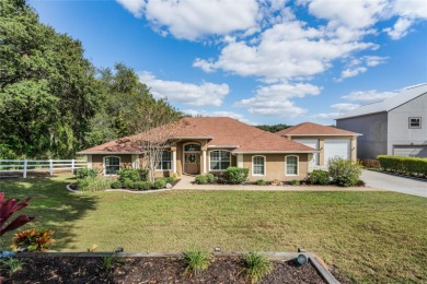 (private lake, pond, creek) Home Sale Pending in Clermont Florida