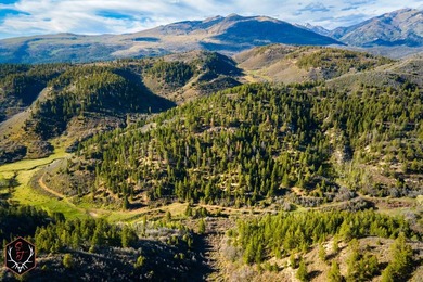 East Fork Cherry Creek Ranch is a rare 1,020+/- acre - photo 2