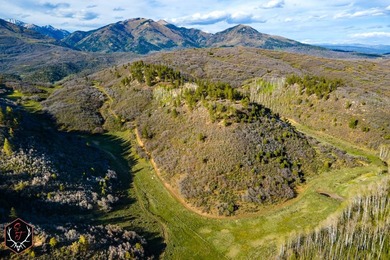 East Fork Cherry Creek Ranch is a rare 1,020+/- acre - photo 3