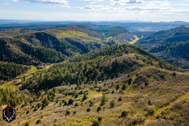 East Fork Cherry Creek Ranch is a rare 1,020+/- acre - photo 4