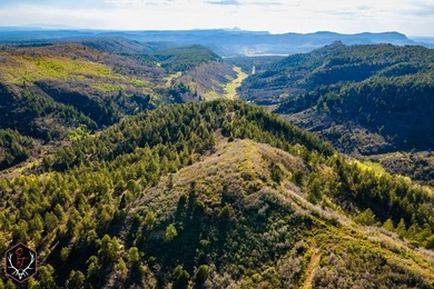 East Fork Cherry Creek Ranch is a rare 1,020+/- acre - photo 5