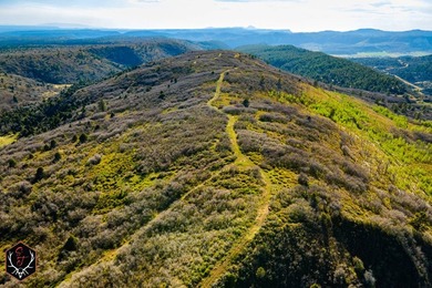 East Fork Cherry Creek Ranch is a rare 1,020+/- acre - photo 7