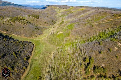 East Fork Cherry Creek Ranch is a rare 1,020+/- acre - photo 8