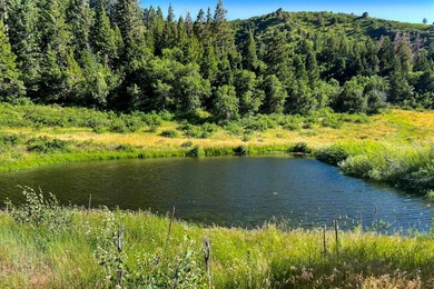 East Fork Cherry Creek Ranch is a rare 1,020+/- acre - photo 10