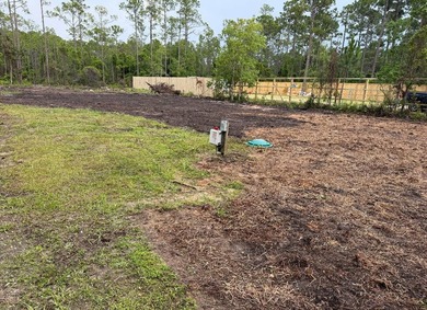 Prime Lot for Sale - 1094 Indian Woman Rd, Santa Rosa Beach, FL - photo 4