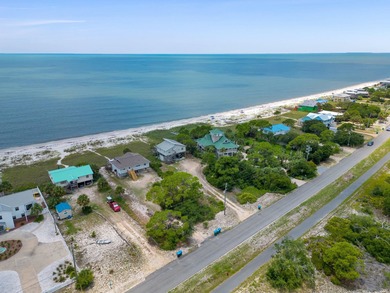 Welcome to your dream coastal retreat at Alligator Point! This - photo 4