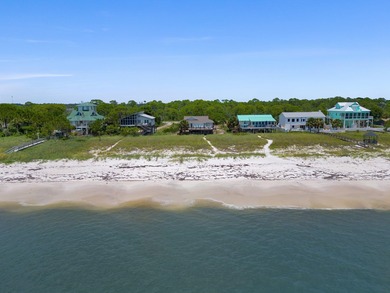 Welcome to your dream coastal retreat at Alligator Point! This - photo 6