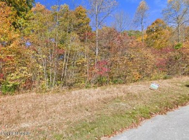 Norris Lake Acreage For Sale in New Tazewell Tennessee