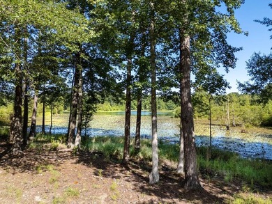 Lakefront Living at Its Finest! This beautifully remodeled 3 - photo 31