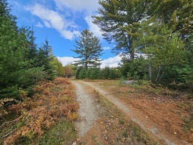 Georges Pond Commercial For Sale in Franklin Maine