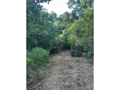 Lake Acreage For Sale in Groesbeck, Texas