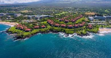 From the moment you enter Wailea Point 1904, the world seems to - photo 36
