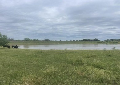 Lake Acreage For Sale in Richland Springs, Texas