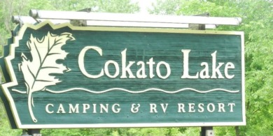 Lake Lot For Sale in Cokato, Minnesota