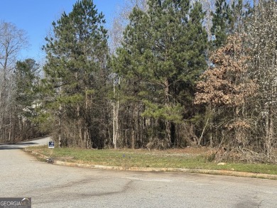 Lake Lot For Sale in Covington, Georgia