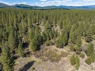 Welcome to Trail Creek Meadows at TRIPLE CREEK RESERVE, Idaho's - photo 2