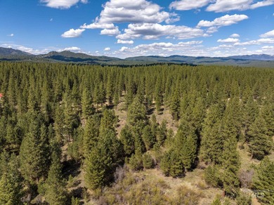 Welcome to Trail Creek Meadows at TRIPLE CREEK RESERVE, Idaho's - photo 3
