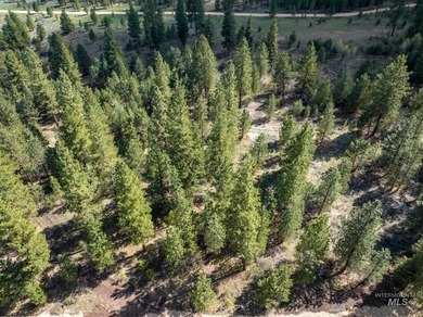 Welcome to Trail Creek Meadows at TRIPLE CREEK RESERVE, Idaho's - photo 4
