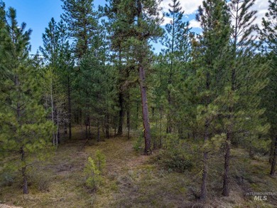 Welcome to Trail Creek Meadows at TRIPLE CREEK RESERVE, Idaho's - photo 7