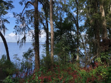 St. Johns River - St. Johns County Acreage For Sale in Saint Johns Florida