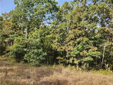 This listing includes 2 parcels: 17-8.0-33-000-000-024.000 3.5 - photo 7