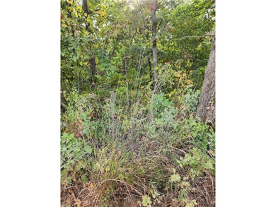 This listing includes 2 parcels: 17-8.0-33-000-000-024.000 3.5 - photo 8
