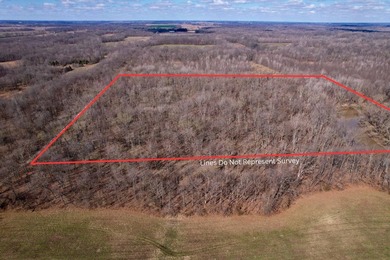 31.94 acres of recreational timber located along the Little - photo 2