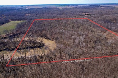 31.94 acres of recreational timber located along the Little - photo 3