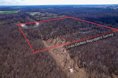 31.94 acres of recreational timber located along the Little - photo 4