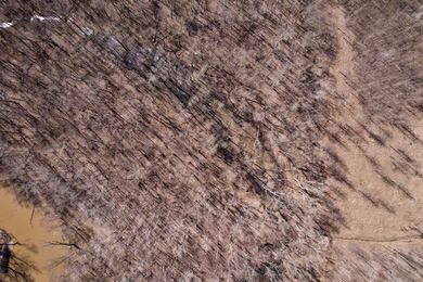 31.94 acres of recreational timber located along the Little - photo 5