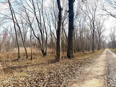 31.94 acres of recreational timber located along the Little - photo 6