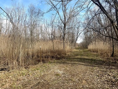 31.94 acres of recreational timber located along the Little - photo 7