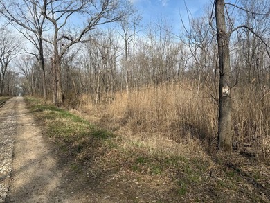 31.94 acres of recreational timber located along the Little - photo 8