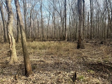 31.94 acres of recreational timber located along the Little - photo 9