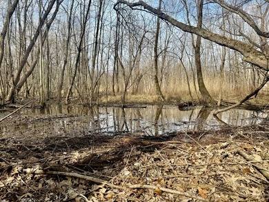 31.94 acres of recreational timber located along the Little - photo 10