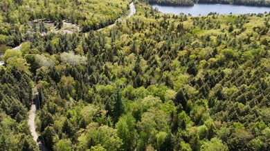 Large undeveloped lot with approximately 1700' on Acadia Highway - photo 1