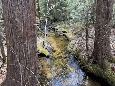 Large undeveloped lot with approximately 1700' on Acadia Highway - photo 3