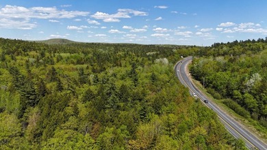 Large undeveloped lot with approximately 1700' on Acadia Highway - photo 5