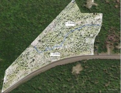 Large undeveloped lot with approximately 1700' on Acadia Highway - photo 8