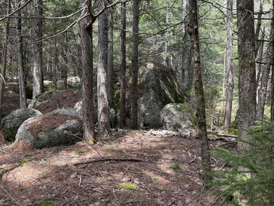 Large undeveloped lot with approximately 1700' on Acadia Highway - photo 10