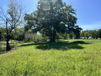 Lake Lot For Sale in Streetman, Texas
