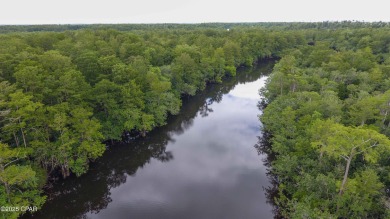Dead Lake Acreage For Sale in Kinard Florida