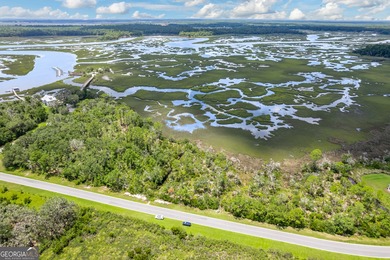 Crooked River Acreage For Sale in Woodbine Georgia